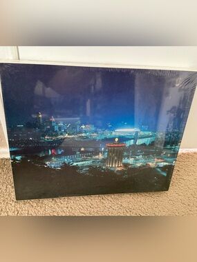 Cincinnati, OH City Nightscape 550 Piece Puzzle